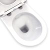 Fienza RAK Resort Back-to-Wall, S-Trap Toilet Suite, Bottom Inlet