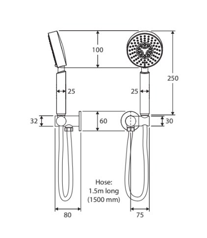 Fienza Michelle Hand Shower, Chrome