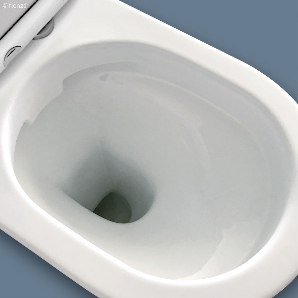 Fienza Delta Back-To-Wall S-Trap 90-160 Toilet Suite