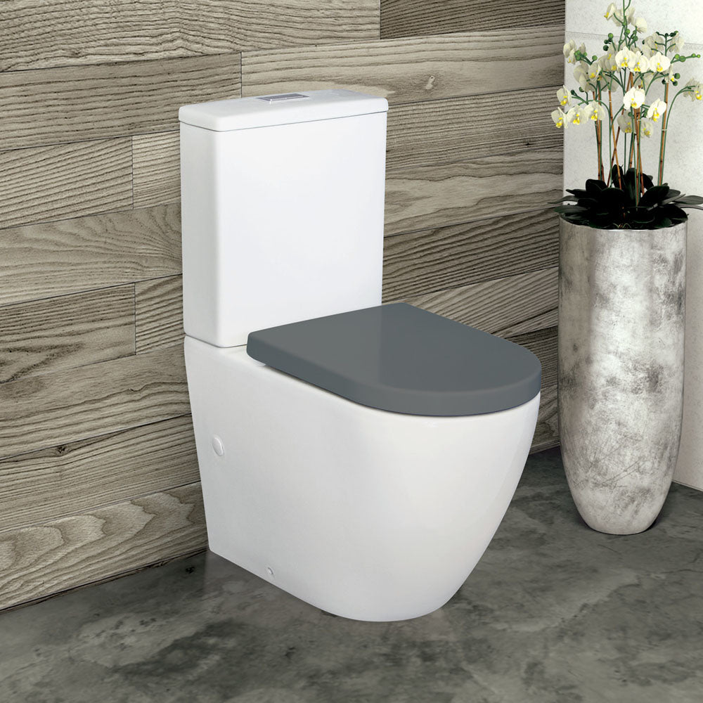 Fienza Alix Back-To-Wall P-Trap Toilet, Grey Seat