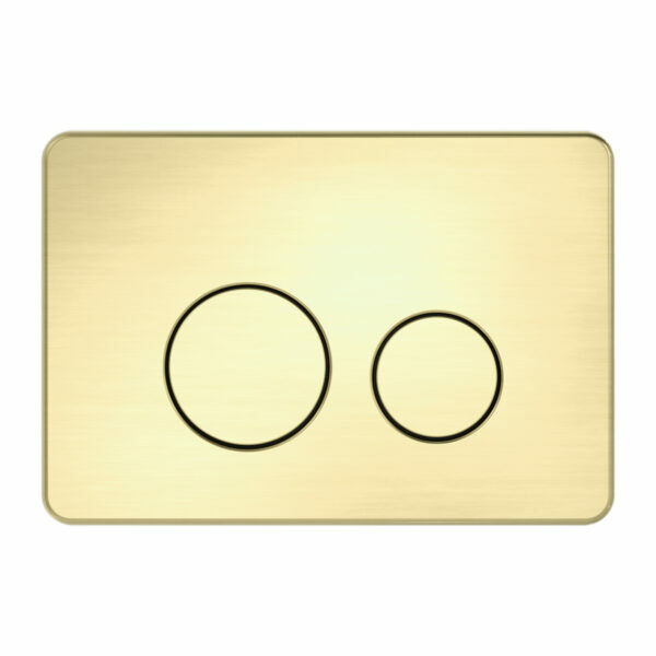 In Wall Toilet Push Plate