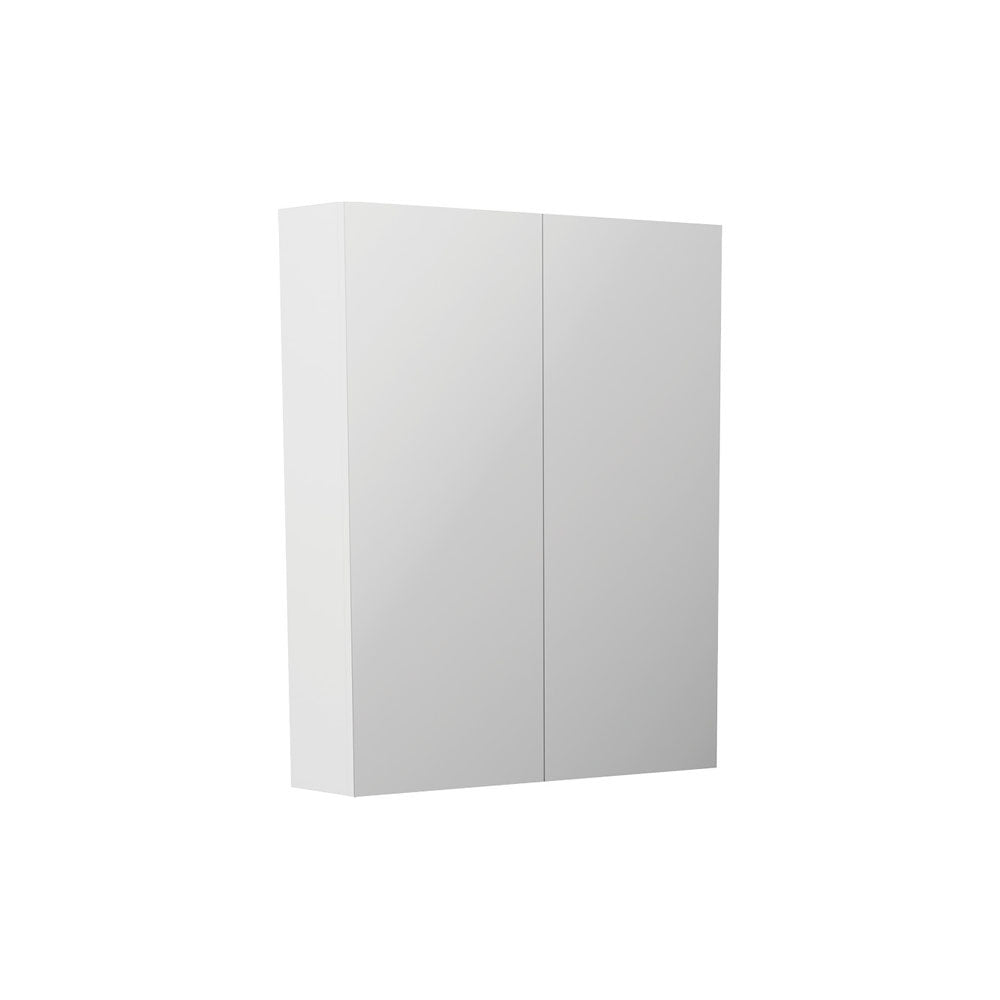 Fienza Pencil Edge 600 Shaving Cabinet, Gloss White