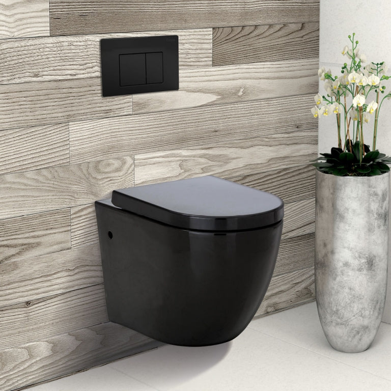 Fienza R&T Inwall Cistern For Wall Hung Pan