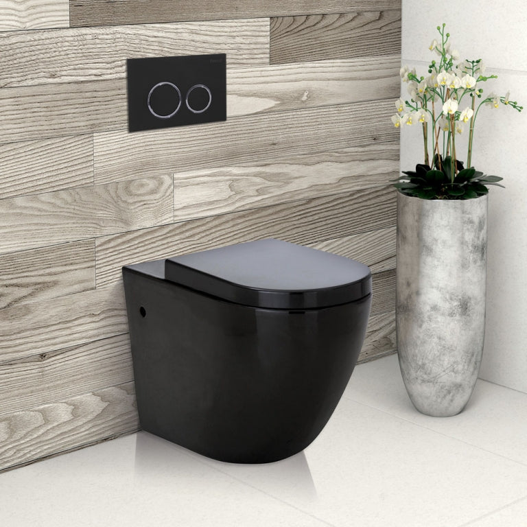 Fienza R&T Inwall Cistern For Floor Mnted / Wall Faced Pan